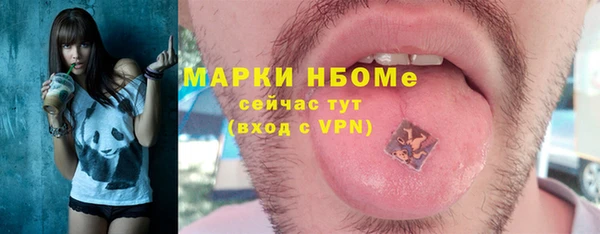 стаф Анива