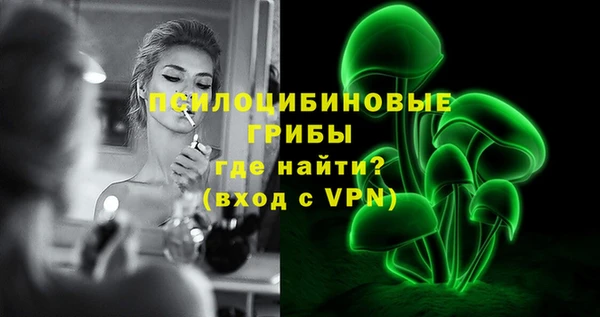 молекула духа Шадринск