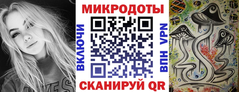 где купить   Корсаков  Псилоцибиновые грибы Psilocybine cubensis 