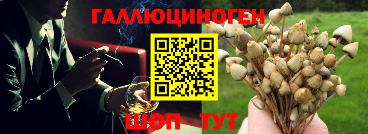 Псилоцибиновые грибы Cubensis  Вход с VPN  Корсаков  Псилоцибиновые грибы MAGIC MUSHROOMS 