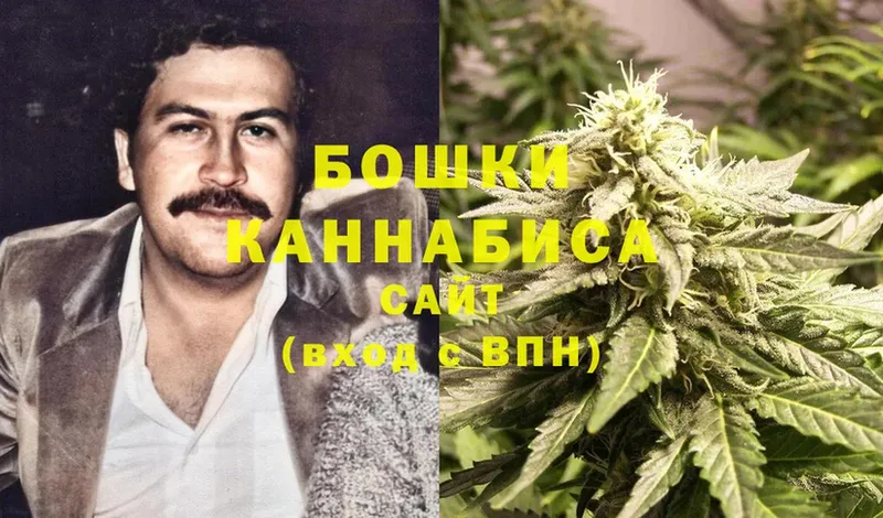 Конопля OG Kush  где купить наркоту  Корсаков 